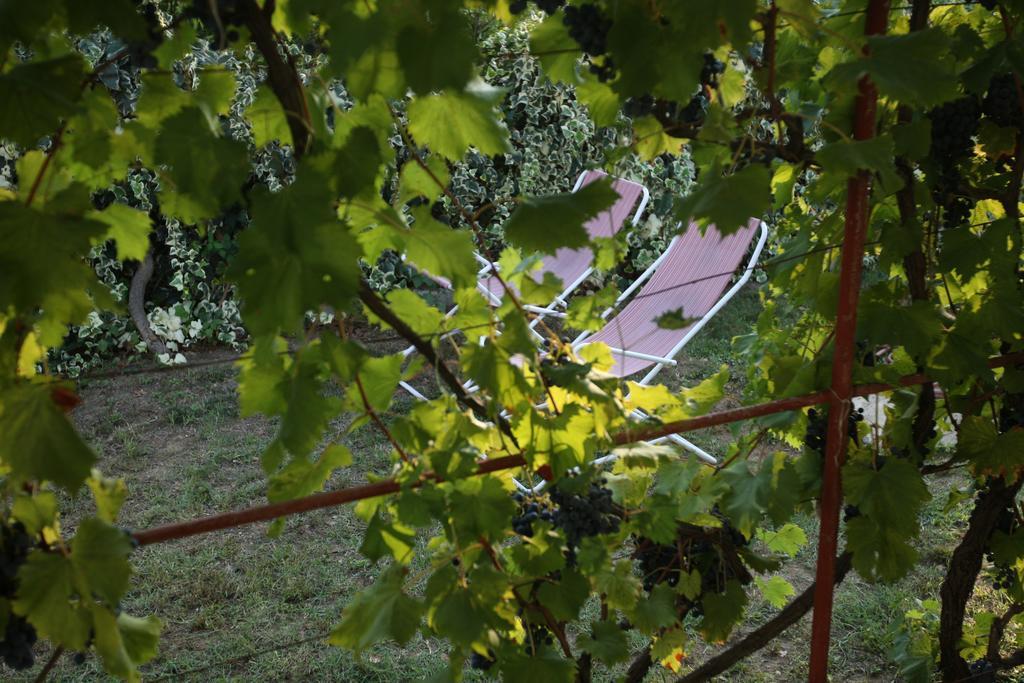 Kucica Ljubcek Villa Privlaka  Room photo